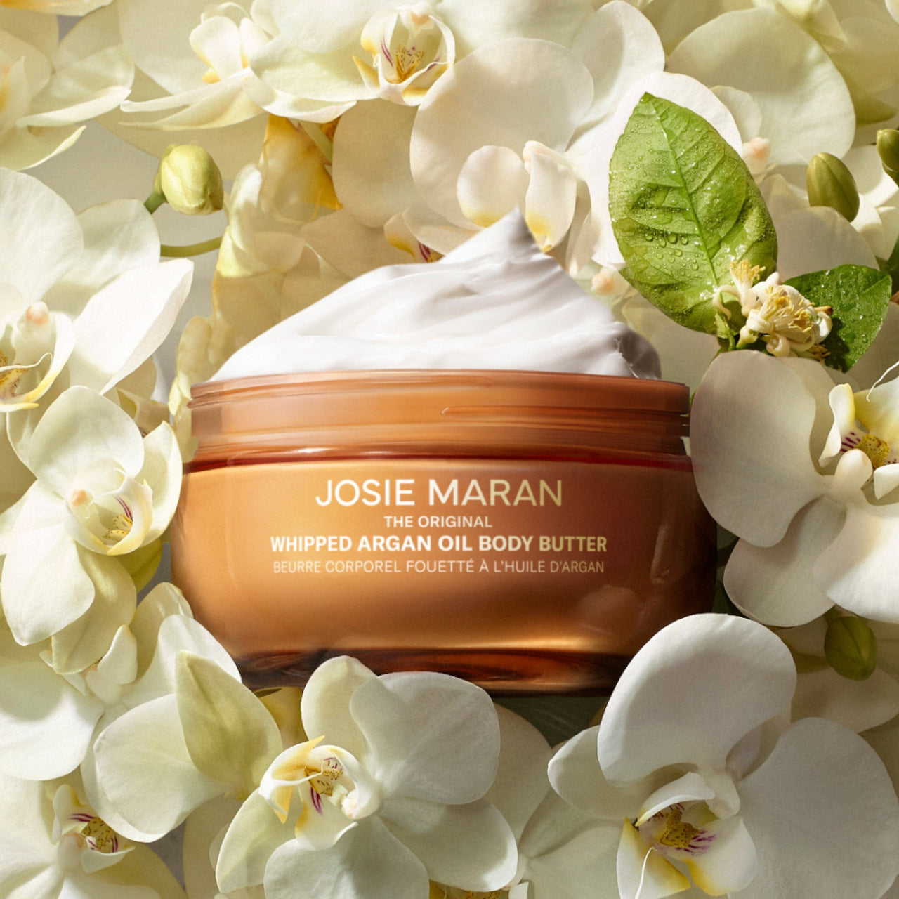 Josie Maran Whipped Argan Oil Body Butter 6fl. oz. Vanilla Vibezzz